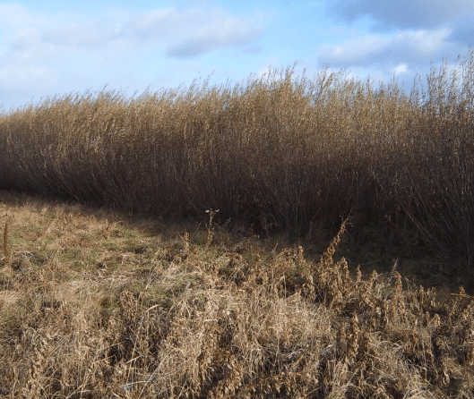 11_mp01_1.png_product