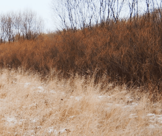 11_mp01_1.png_product